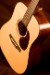 Santa Cruz D/PW Mahogany sn 5815 Acoustic Guitar