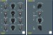 Chandler Limited TG EQ Mastering Pack (TDM)