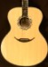 Zemaitis GZA200-SUN-NT