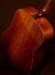 Eastman AC520 3297 Acoustic Guitar