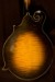 Eastman MD815V 3028 Mandolin