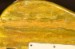 Tyler Studio Elite HD Candy Lemon Yellow Shmear 08240 - SOLD!