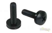 Raxxess PTSW Rack Screws 100 Pack