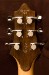 Gadow Classic Hollow Souleburst Electric Guitar