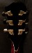 Eastman AR905CE Classic 5020 Archtop Guitar