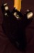 Moog Guitar E1 Black w/Trem E083