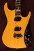 Moog Guitar E1 Natural w/Trem
