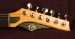 Moog Guitar E1 Natural w/Trem