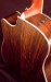 Taylor 410ce-LTD Acoustic Guitar - USED Near MINT