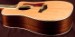 Taylor 410ce-LTD Acoustic Guitar - USED Near MINT