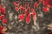 Tyler Studio Elite Burning Water 2K 10256 Electric Guitar