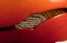 Comins 17" Concert Model Archtop Guitar