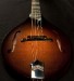 Collings MT Mandolin