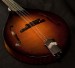 Collings MT Mandolin