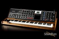 Minimoog Voyager XL