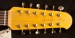 Nash E-12 TL Surf Green 12-string Electric Guitar SND-83