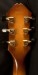Fender D'Aquisto Elite Archtop Guitar- USED