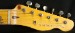 Nash T-68 Paisley Electric Guitar NG-1635