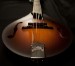 Collings MT Mandolin A2516