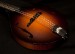 Collings MT Mandolin A2516