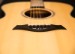 Taylor Custom GA (BTO) Premium Engelmann/AA Rosewood