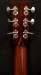 Collings D2HBaaaA Adirondack/Brazilian Guitar "Pre-Owned"
