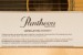 Bourgeois Ray Lamontagne Dreadnought Acoustic Guitar