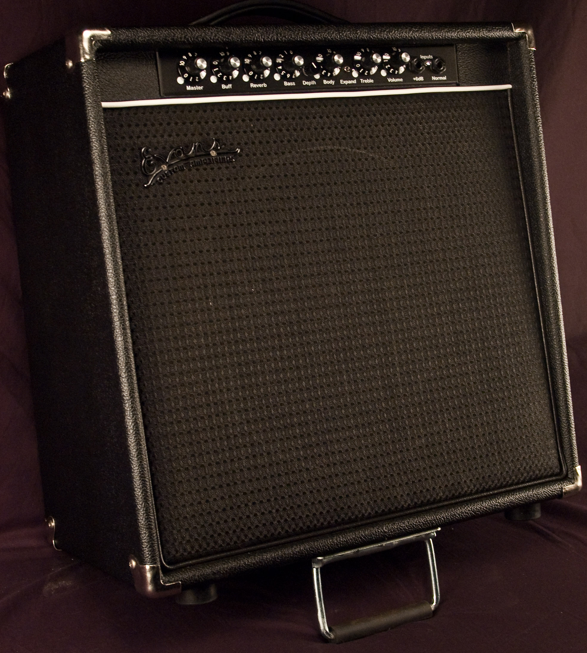 Evans RE/JE200 Guitar Amplifier Combo