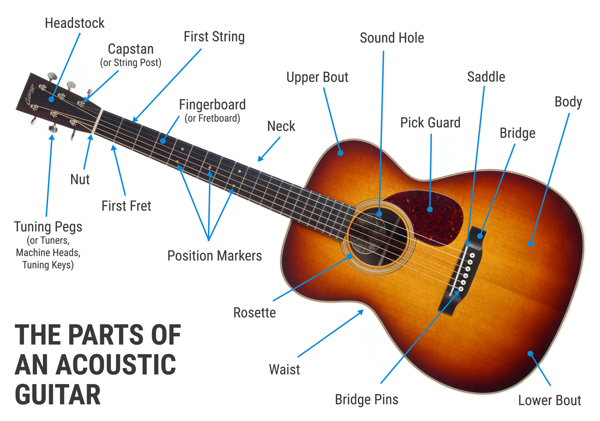 paperback anden Prøve The Parts of an Acoustic Guitar - Sound Pure