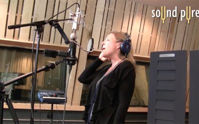 Budget-Friendly Peluso VTB Microphone Vs Legendary Sony C800G