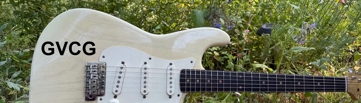 Greenwich Vilage Custom Guitars