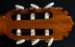 10210-manuel-rodriguez-e-hijos-c3-flamenco-acoustic-guitar-used-146b0cbd30e-3.jpg