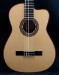 10234-buscarino-grand-cabaret-nylon-string-acoustic-guitar-used-146d8890f59-19.jpg