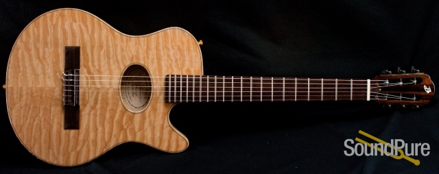 Buscarino Starlight Nylon String Acoustic Electric Guitar — image 12