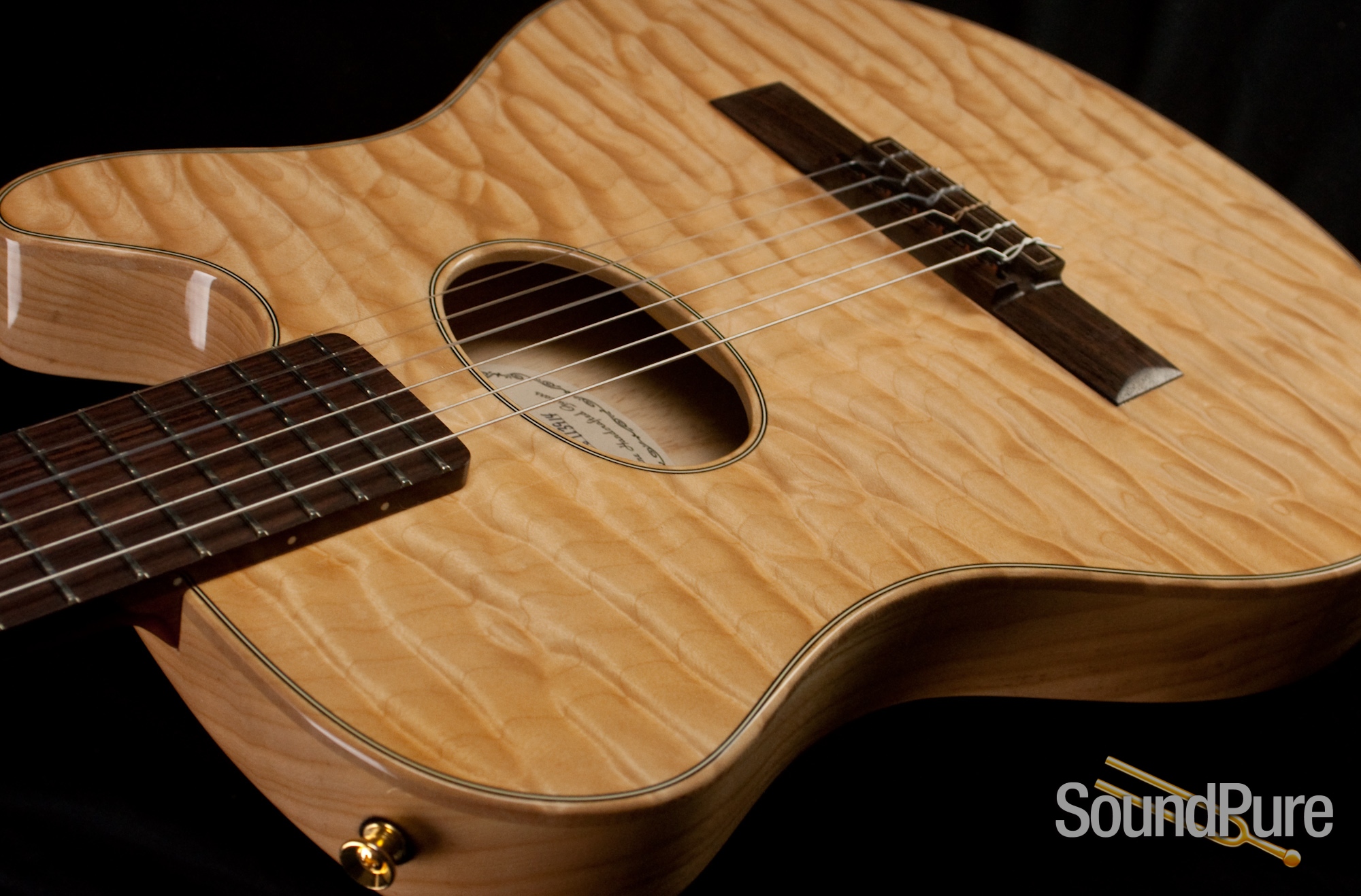 Buscarino Starlight Nylon String Acoustic Electric Guitar