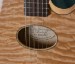 10372-buscarino-starlight-nylon-string-acoustic-electric-guitar-1476a7c225c-1f.jpg