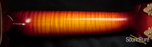 National Reso-Phonic RM-1 Mandolin - Used — image 8