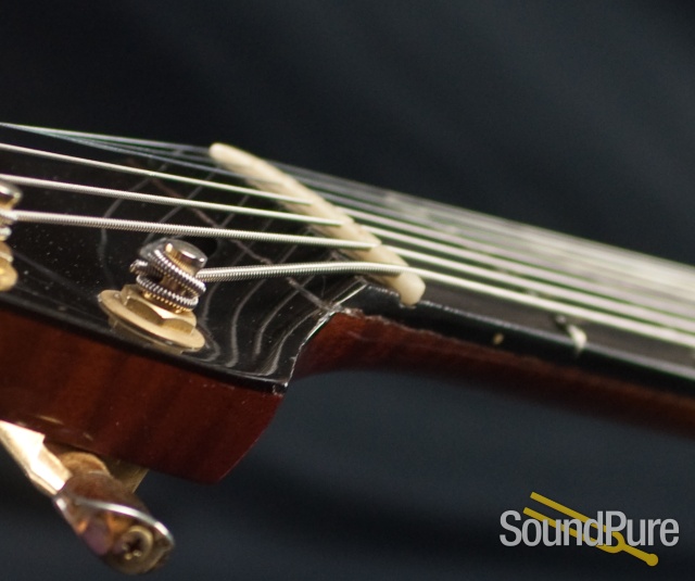 Jimmy Foster Custom T-5 7-string Solidbody Guitar- Used — image 15
