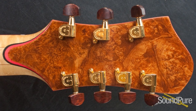 Buscarino 7-string Oval-hole Virtuoso Archtop- Pre-Owned — image 19