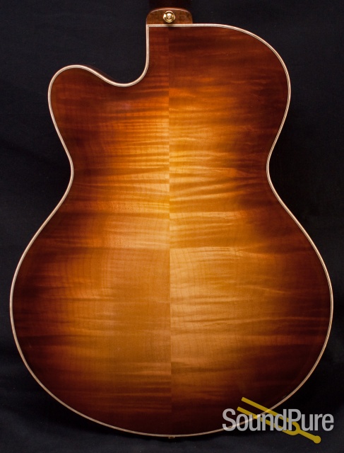 Buscarino Artisan Archtop Electric Guitar SP11114514 — image 12