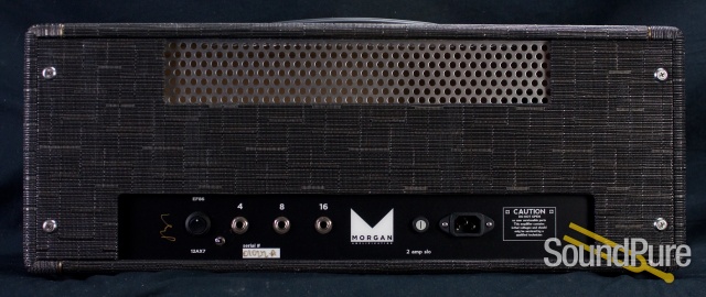 Morgan Dual 20 Smoke Chilewitch Amp w/ 1x12 Cab - Used — image 15
