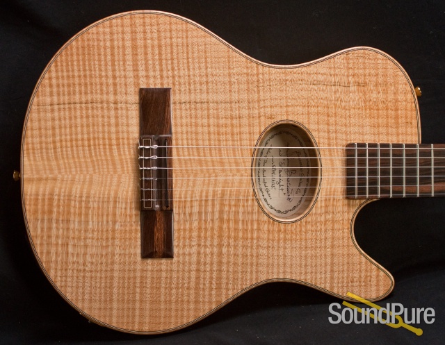 Buscarino Starlight Nylon Acoustic Electric Guitar 6115 — image 5