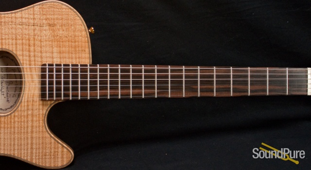 Buscarino Starlight Nylon Acoustic Electric Guitar 6115 — image 10