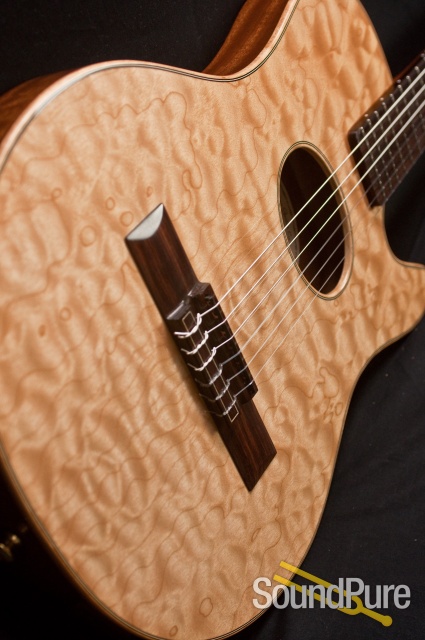 Buscarino Starlight Nylon Acoustic Electric Guitar 6215 — image 9