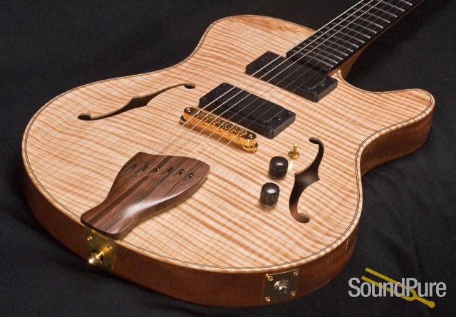 Buscarino Starlight Archtop Guitar SP07116175 — image 4
