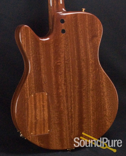 Buscarino Starlight Archtop Guitar SP07116175 — image 5