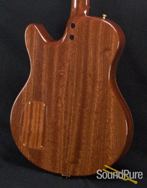 Buscarino Starlight Archtop Guitar SP07116175 — image 6