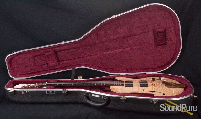Buscarino Starlight Archtop Guitar SP07116175 — image 7