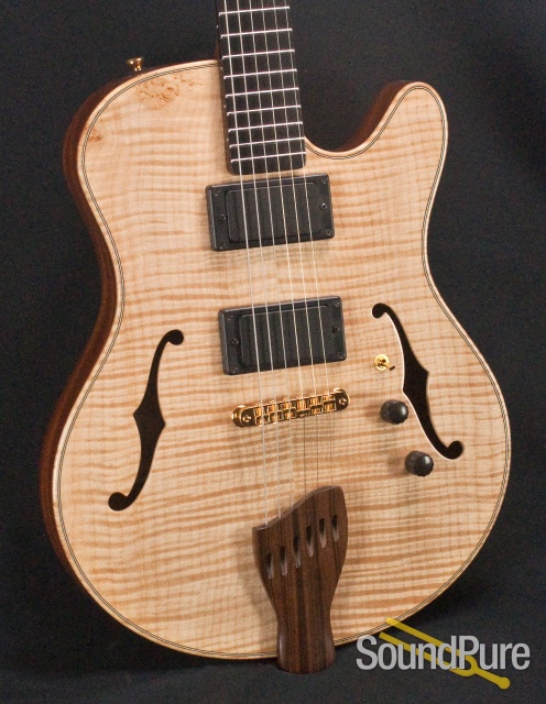 Buscarino Starlight Archtop Guitar SP07116175 — image 8