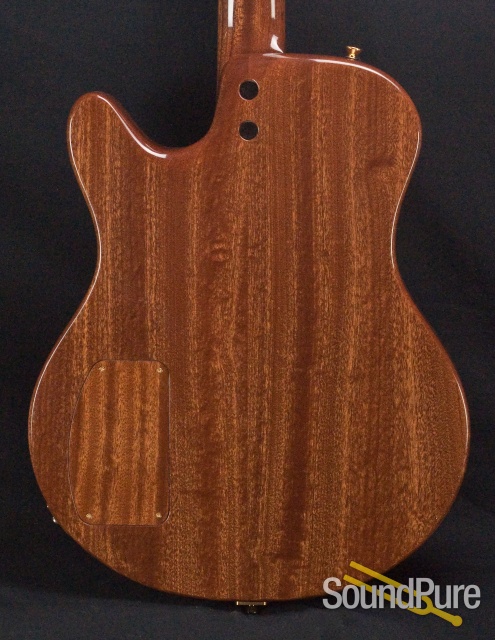 Buscarino Starlight Archtop Guitar SP07116175 — image 10